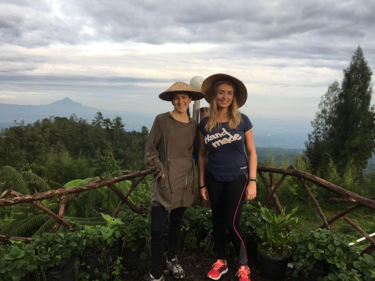 Apartmán Bromo Tanjung Tosari Exteriér fotografie