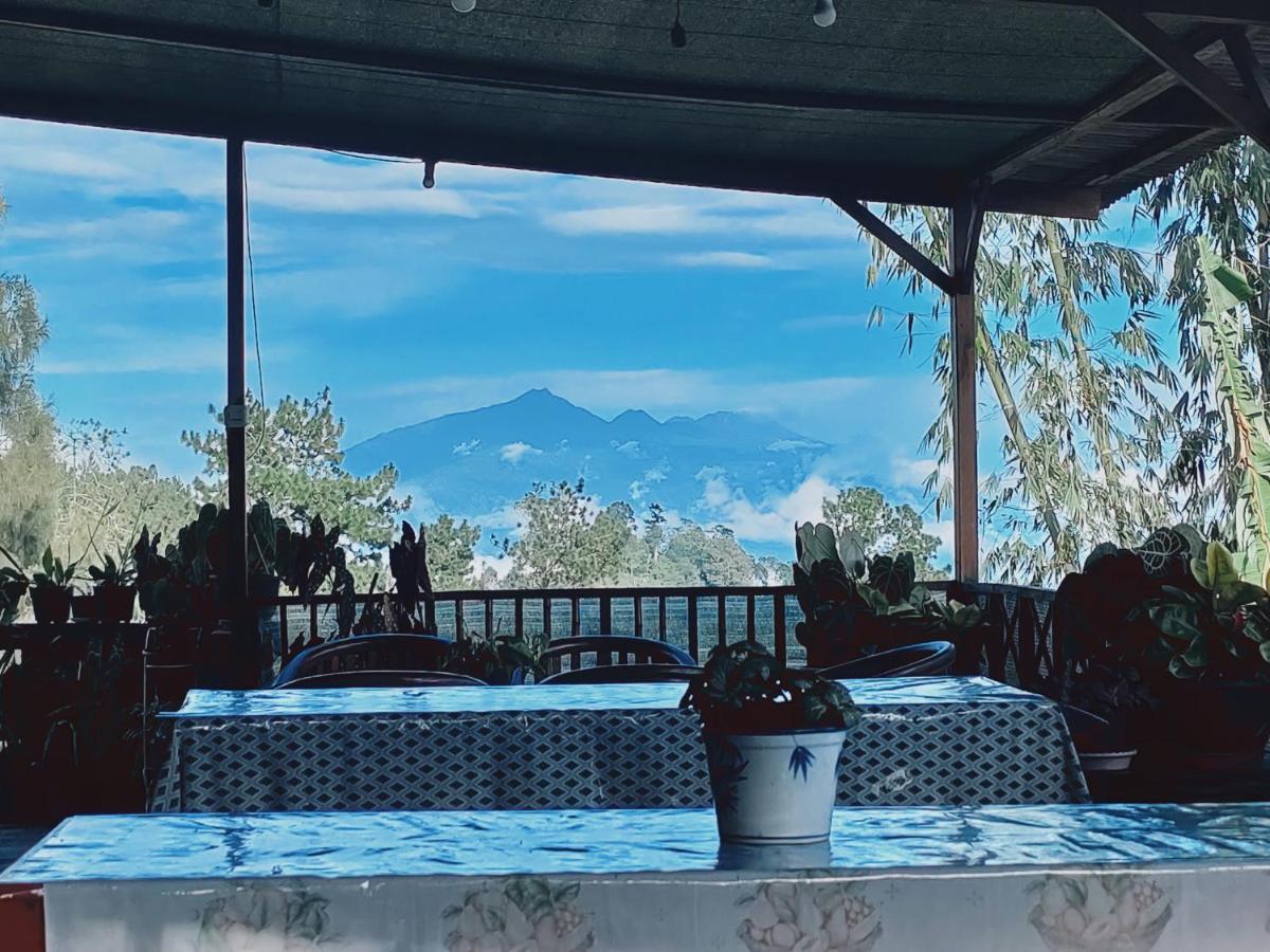 Apartmán Bromo Tanjung Tosari Exteriér fotografie