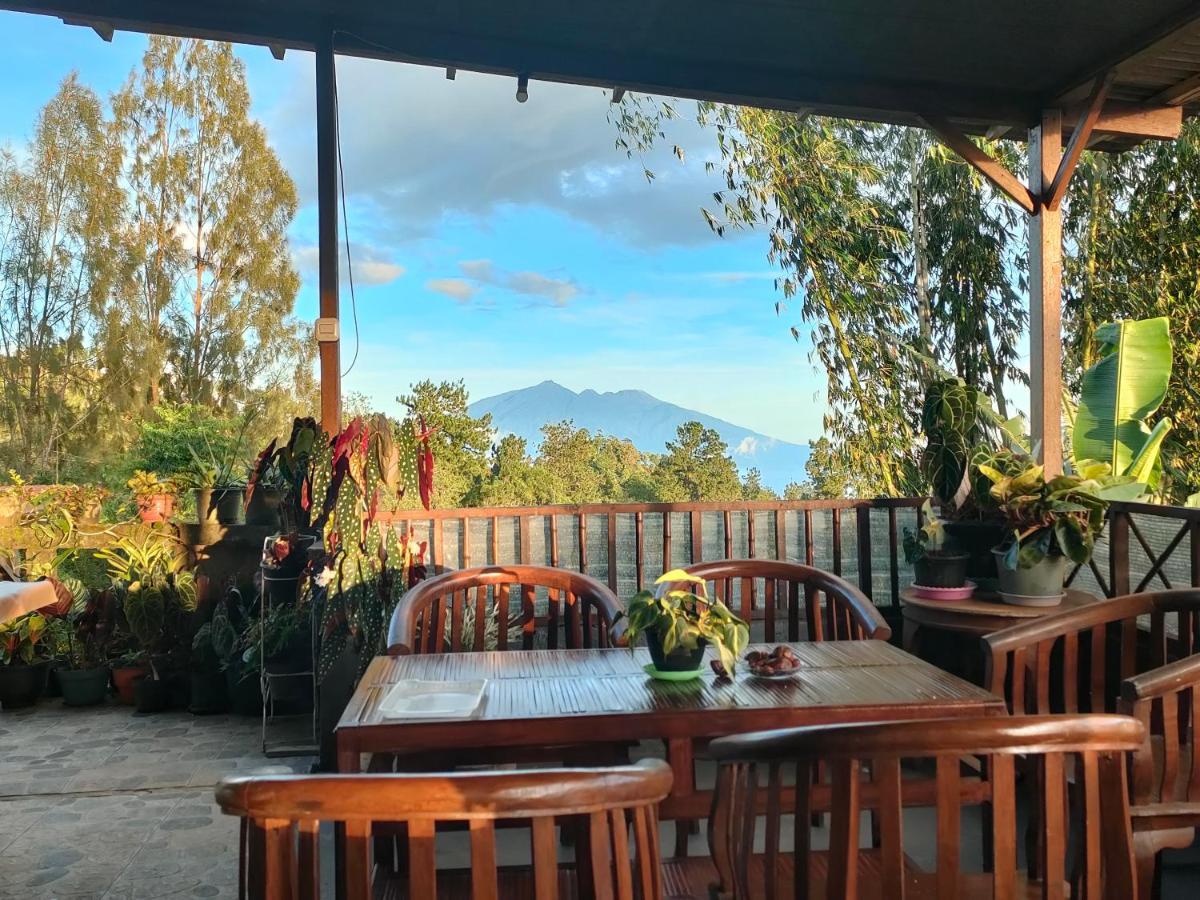 Apartmán Bromo Tanjung Tosari Exteriér fotografie