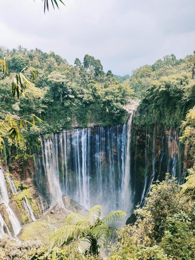 Apartmán Bromo Tanjung Tosari Exteriér fotografie