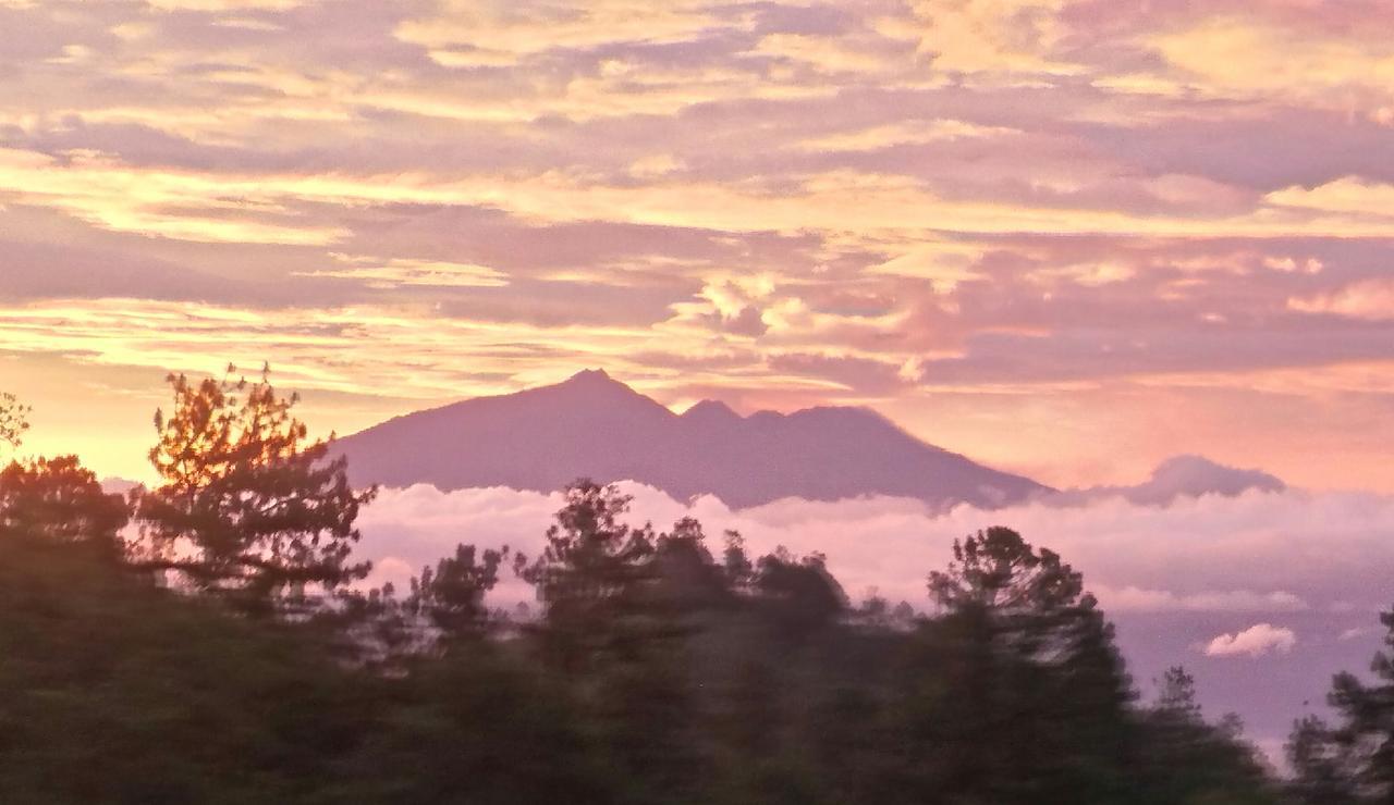 Apartmán Bromo Tanjung Tosari Exteriér fotografie